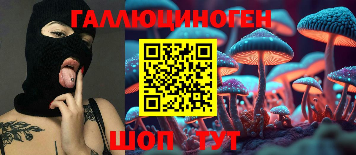 где продают наркотики  Галлюциногенные грибы Psilocybe  Вход с VPN  Ростов Великий 