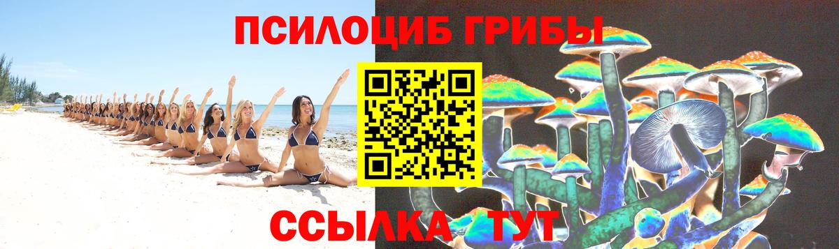 Псилоцибиновые грибы GOLDEN TEACHER Ростов Великий